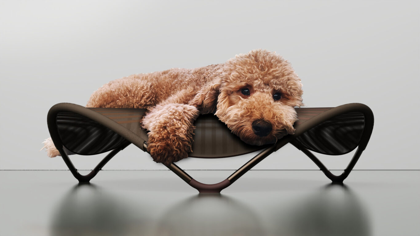 Slide 4 of 4, Hover Dog Bed.